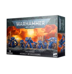 Space Marines:  Assault Intercessors